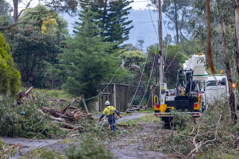 A man wearing high-vis walking near a fallen powerline