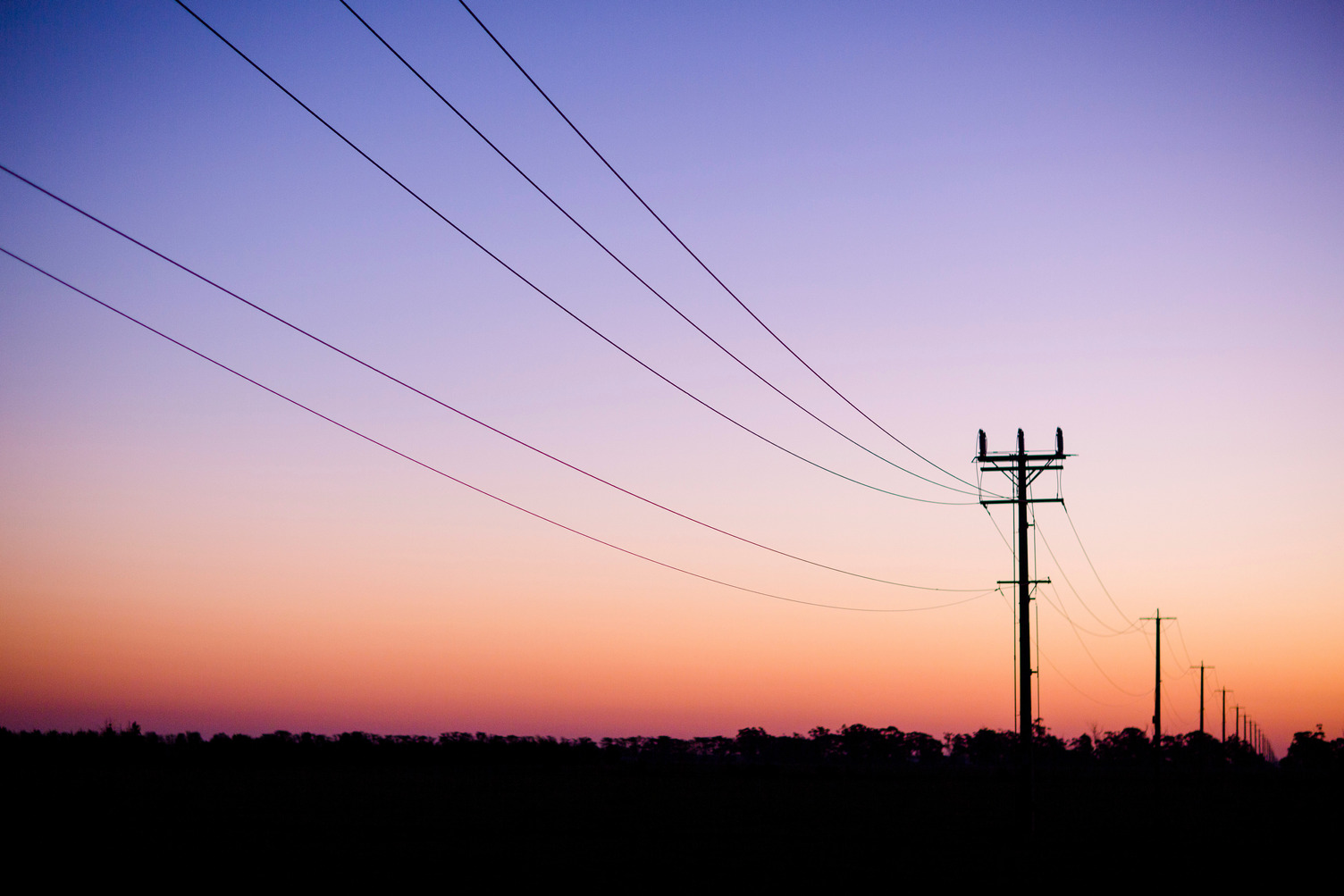 Electricity powerlnes spanning a field at dusk