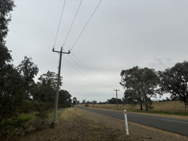 Powerlines spanning across a road