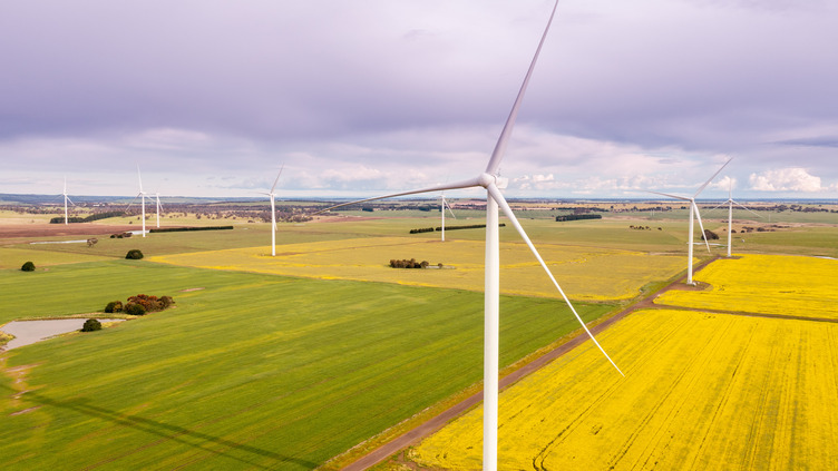 Windfarms in a large wheat field