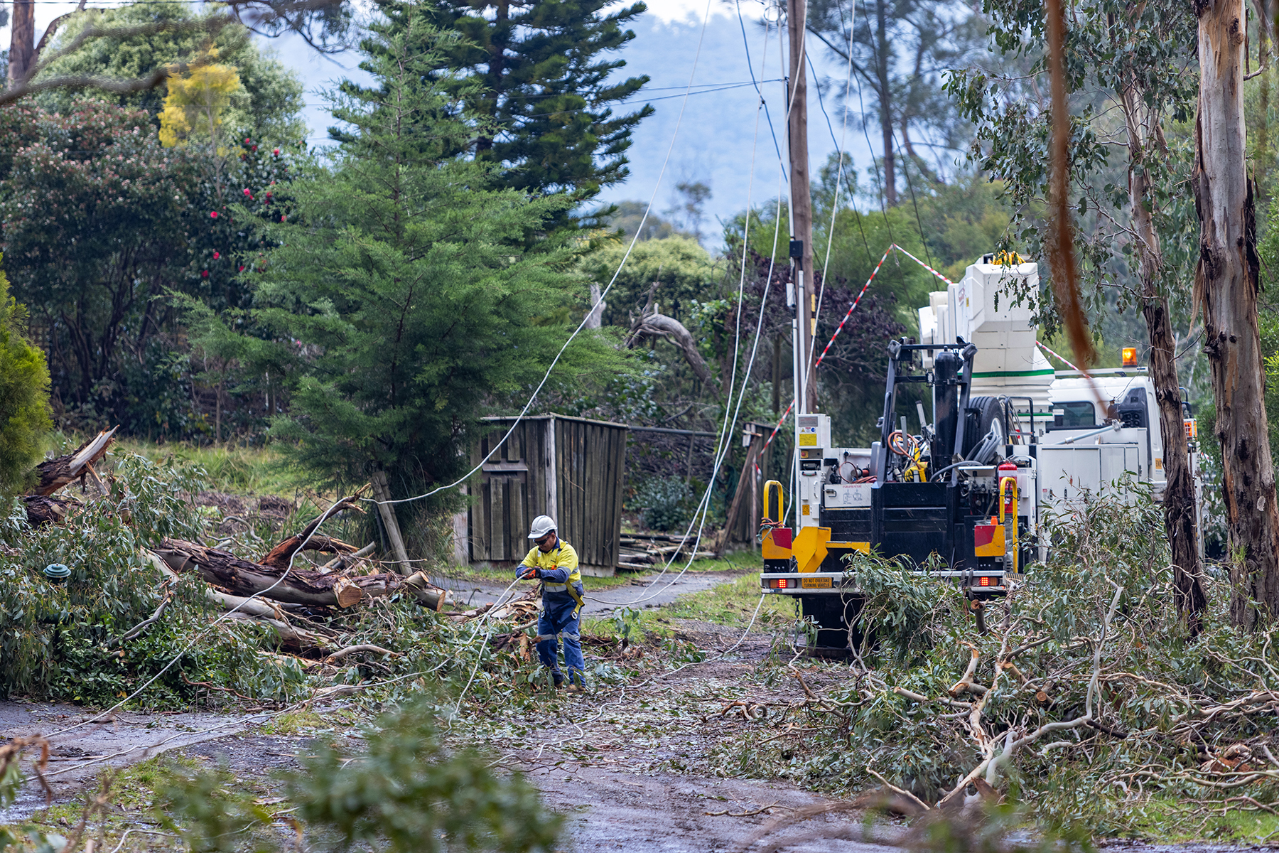 A high vis worker with a truck near collapsed trees and powerlines