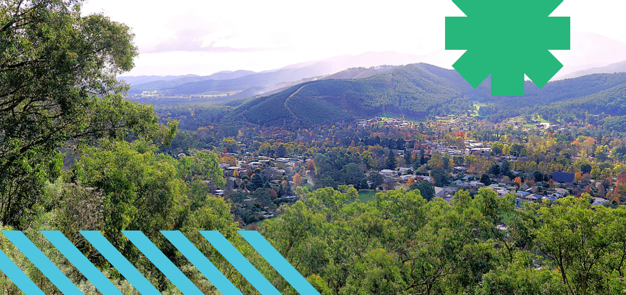 A view of a town dense with trees