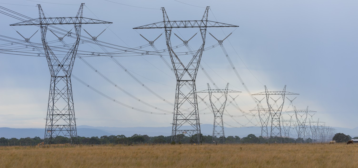A paddock of large electricity transmission towers