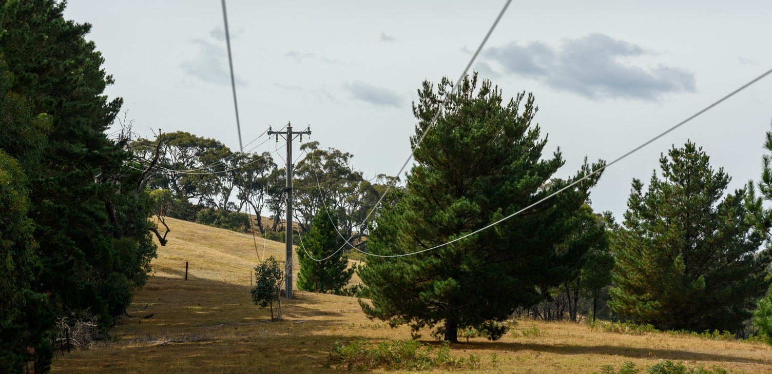 Powerline cables attached to a powerline in a field of trees