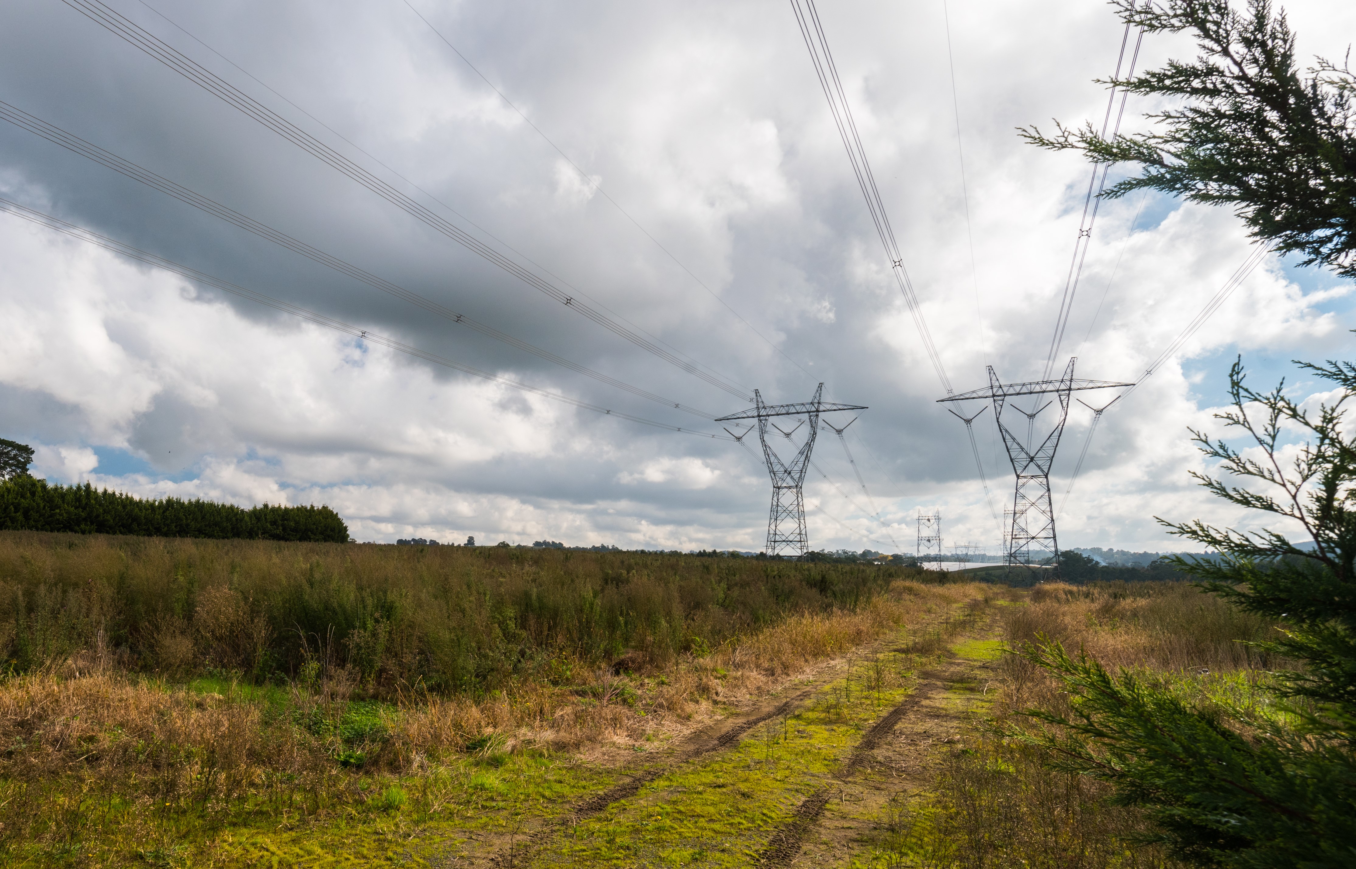 Two large powerlines in an open field on a cloudy day