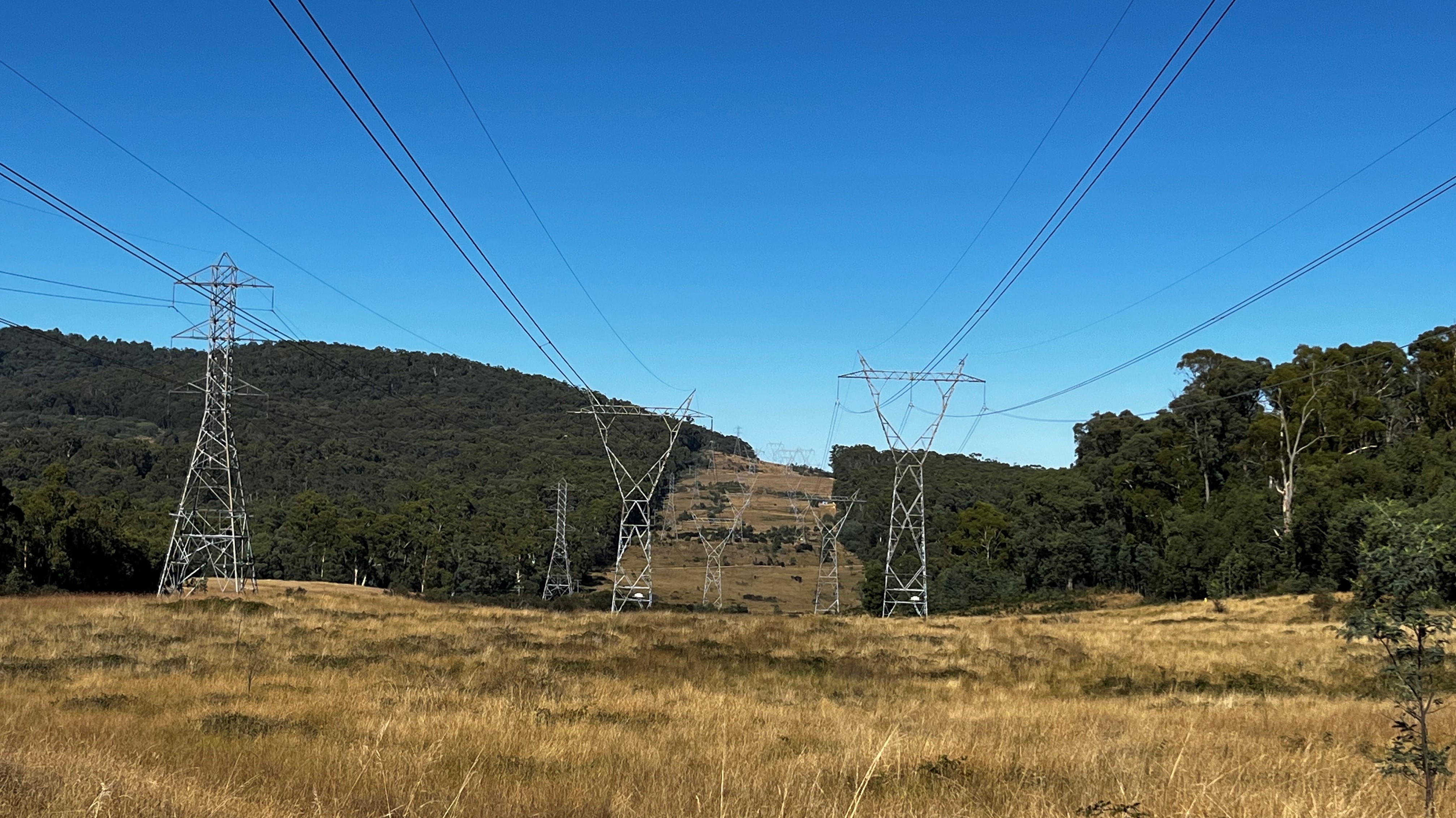 Transmission towers and powerlines in an easement