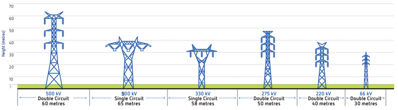 Planting trees near different transmission lines and space required